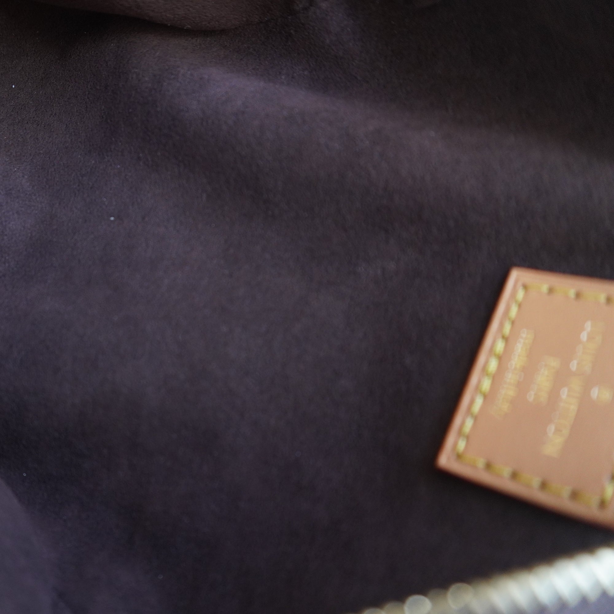 PRE-OWNED Monogram Mini Bumbag