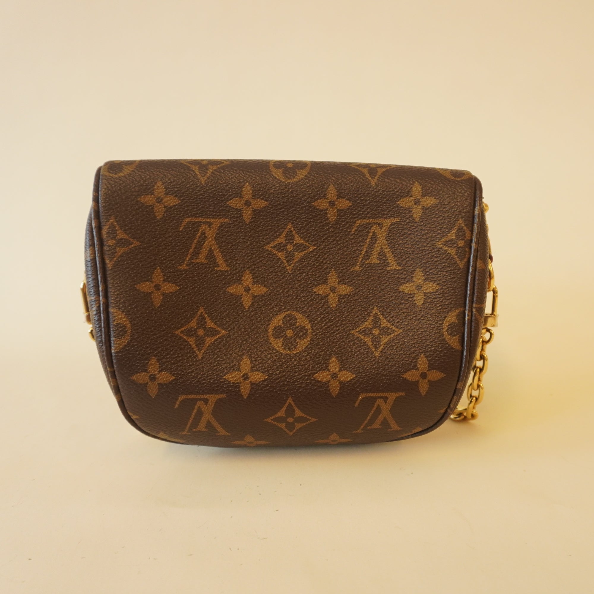 PRE-OWNED Monogram Mini Bumbag