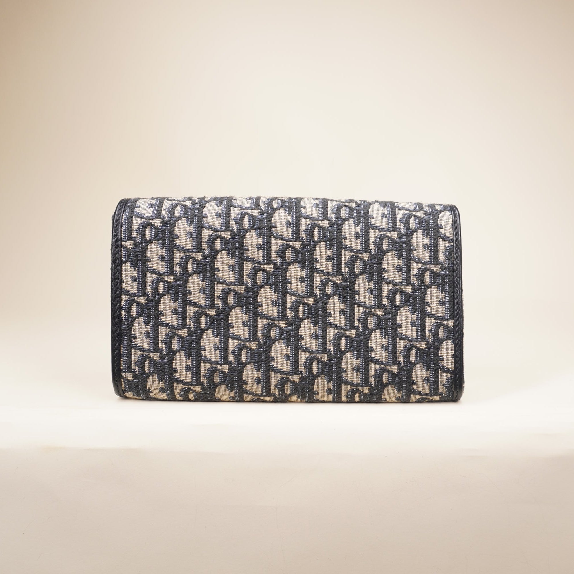 PRE-OWNED Oblique Bobby East West Pouch With Chain