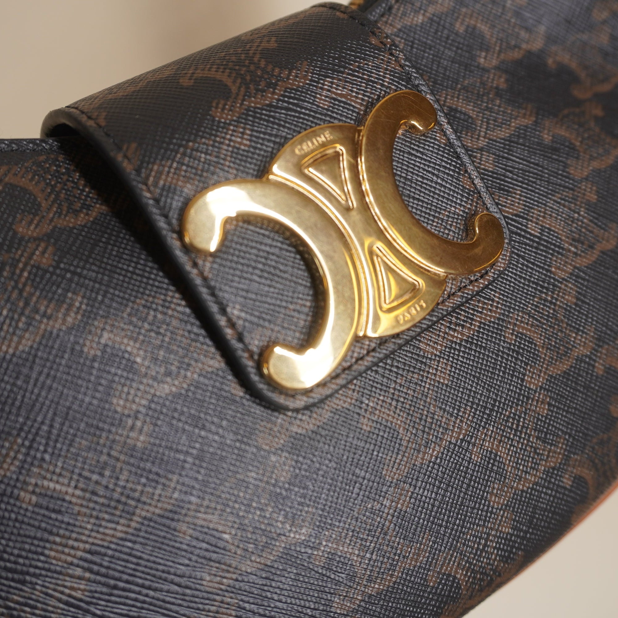PRE-OWNED Medium Ava Triomphe Bag in Triomphe Canvas and Calfskin