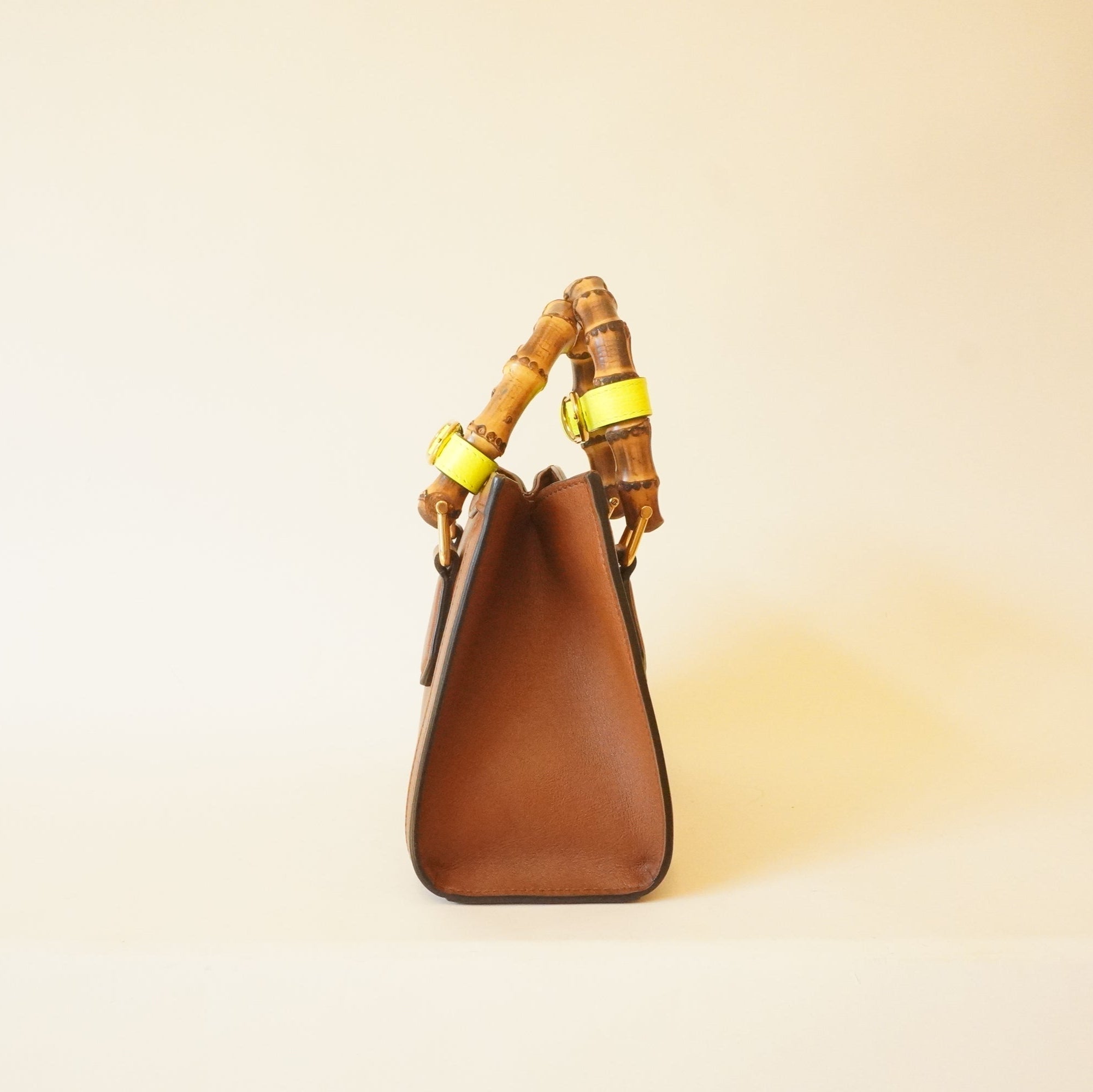 PRE-OWNED GG Brown Bamboo Diana Mini Shoulder Bag
