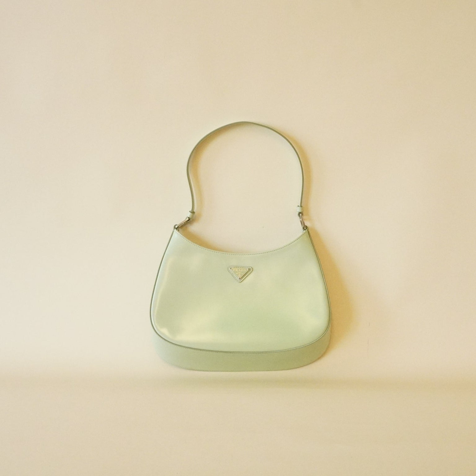 PRE-OWNED Spazzolato Cleo Shoulder Bag Acqua