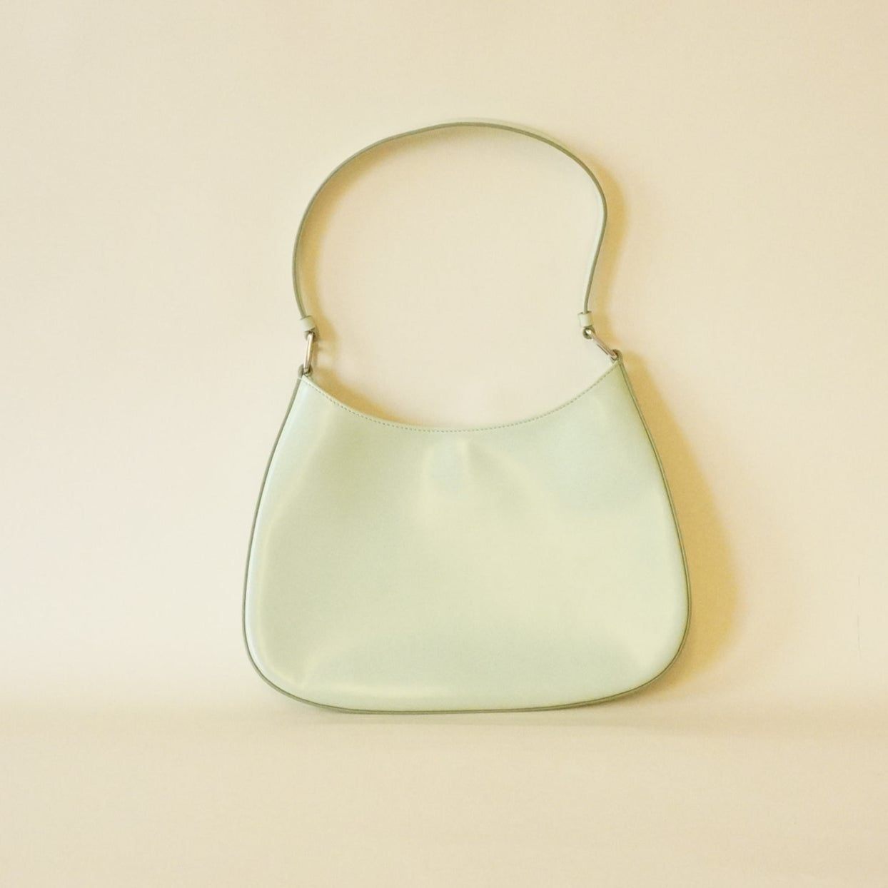 PRE-OWNED Spazzolato Cleo Shoulder Bag Acqua