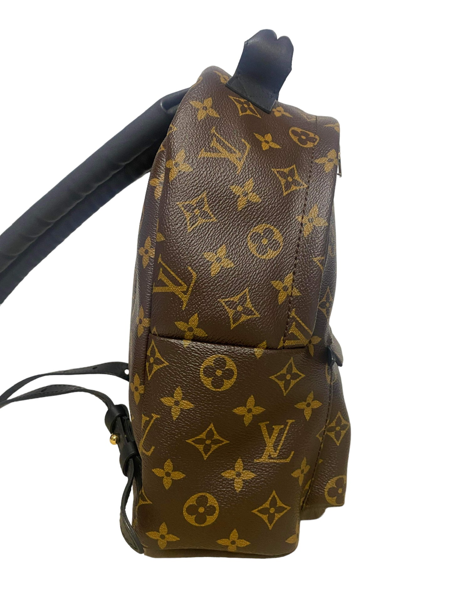 LOUIS VUITTON - Palm Springs Backpack PM