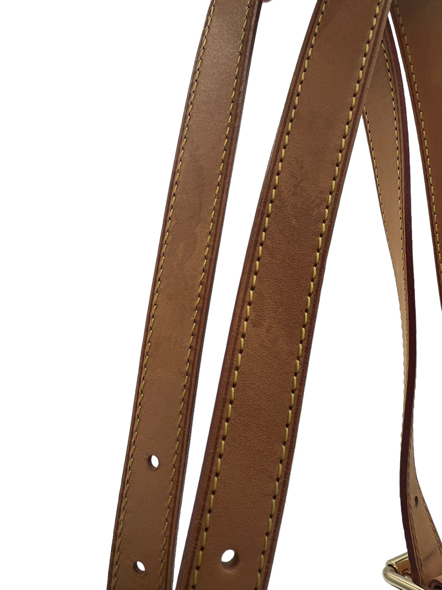 LOUIS VUITTON - Rosewood Avenue Amarante Monogram Vernis Shoulder Bag