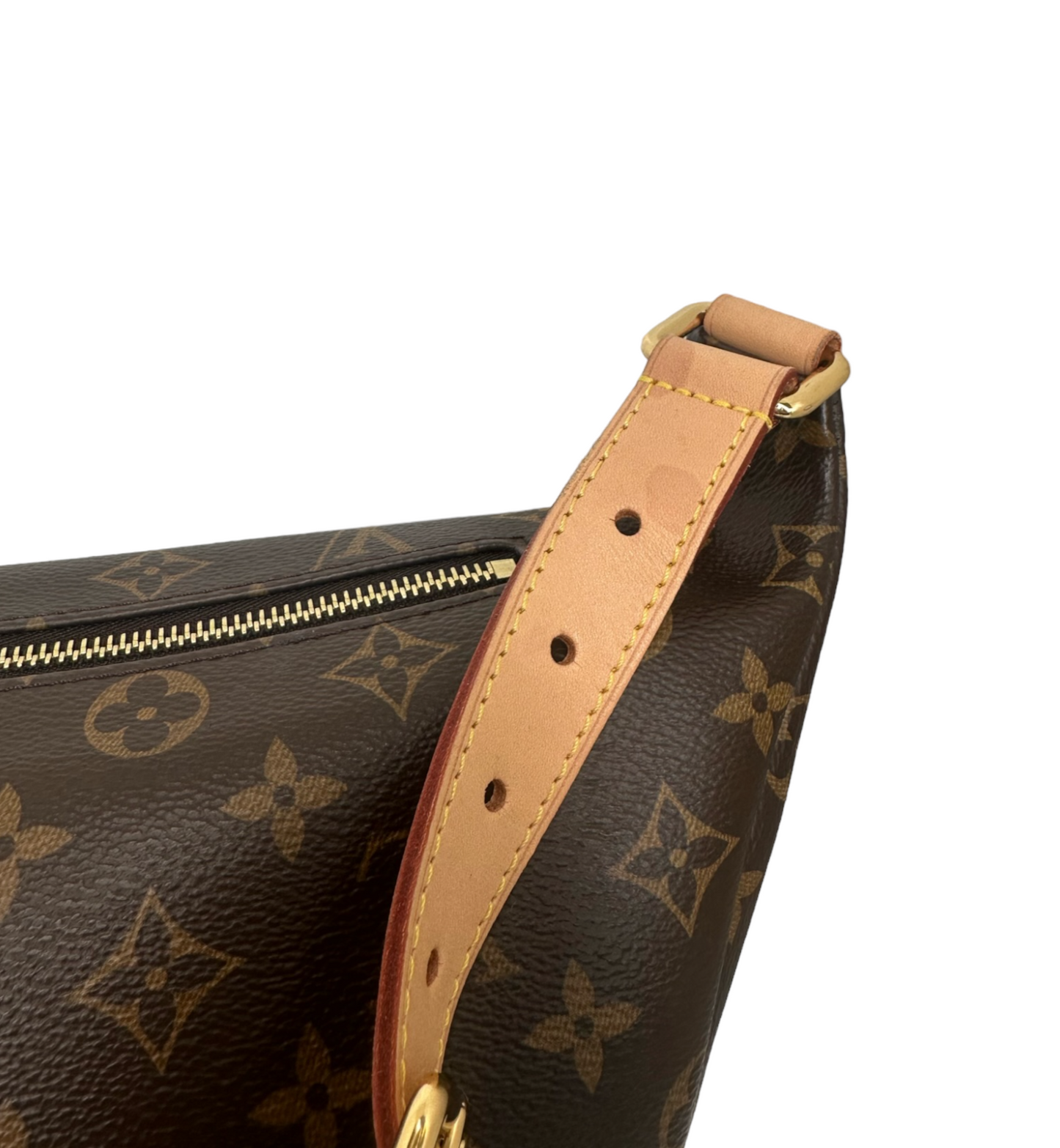 LOUIS VUITTON - Monogram Bumbag