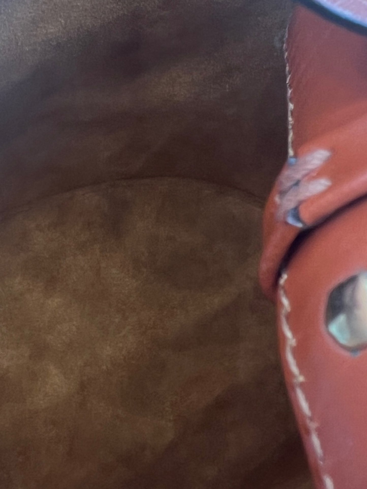 LOUIS VUITTON - Epi Cluny Shoulder Bag