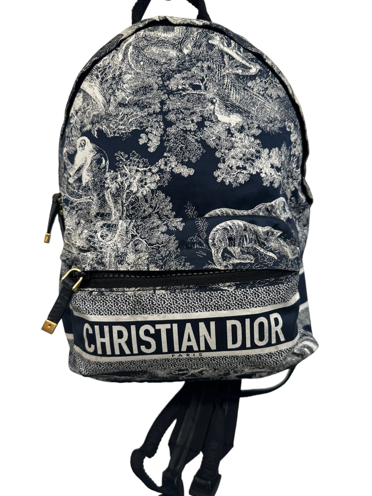 Christian Dior Blue Toile De Jouy FabricBackpack