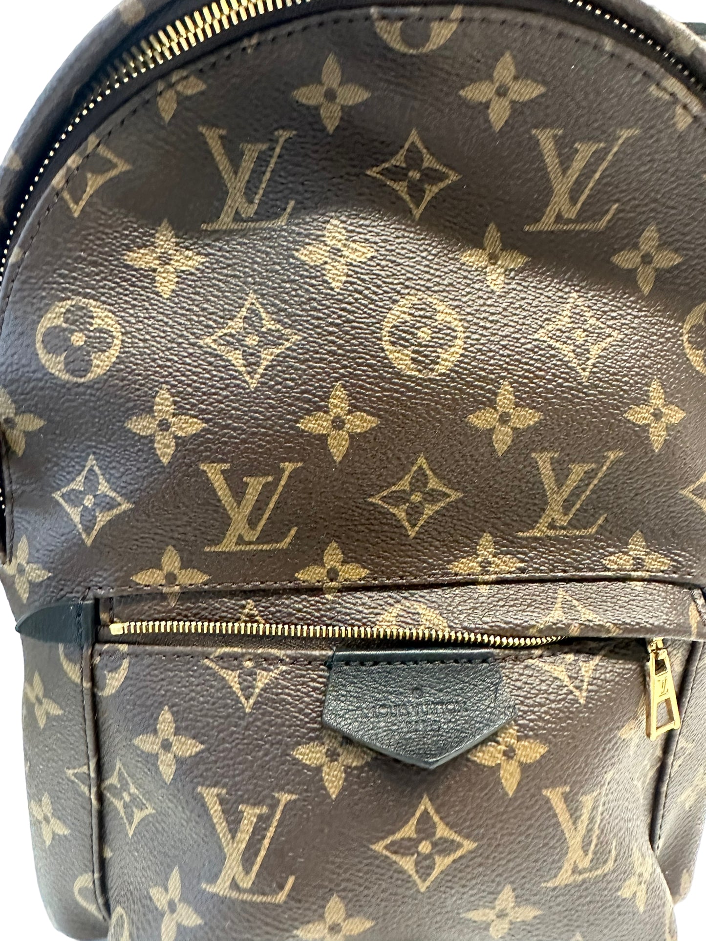 LOUIS VUITTON - Monogram Canvas Palm Springs PM