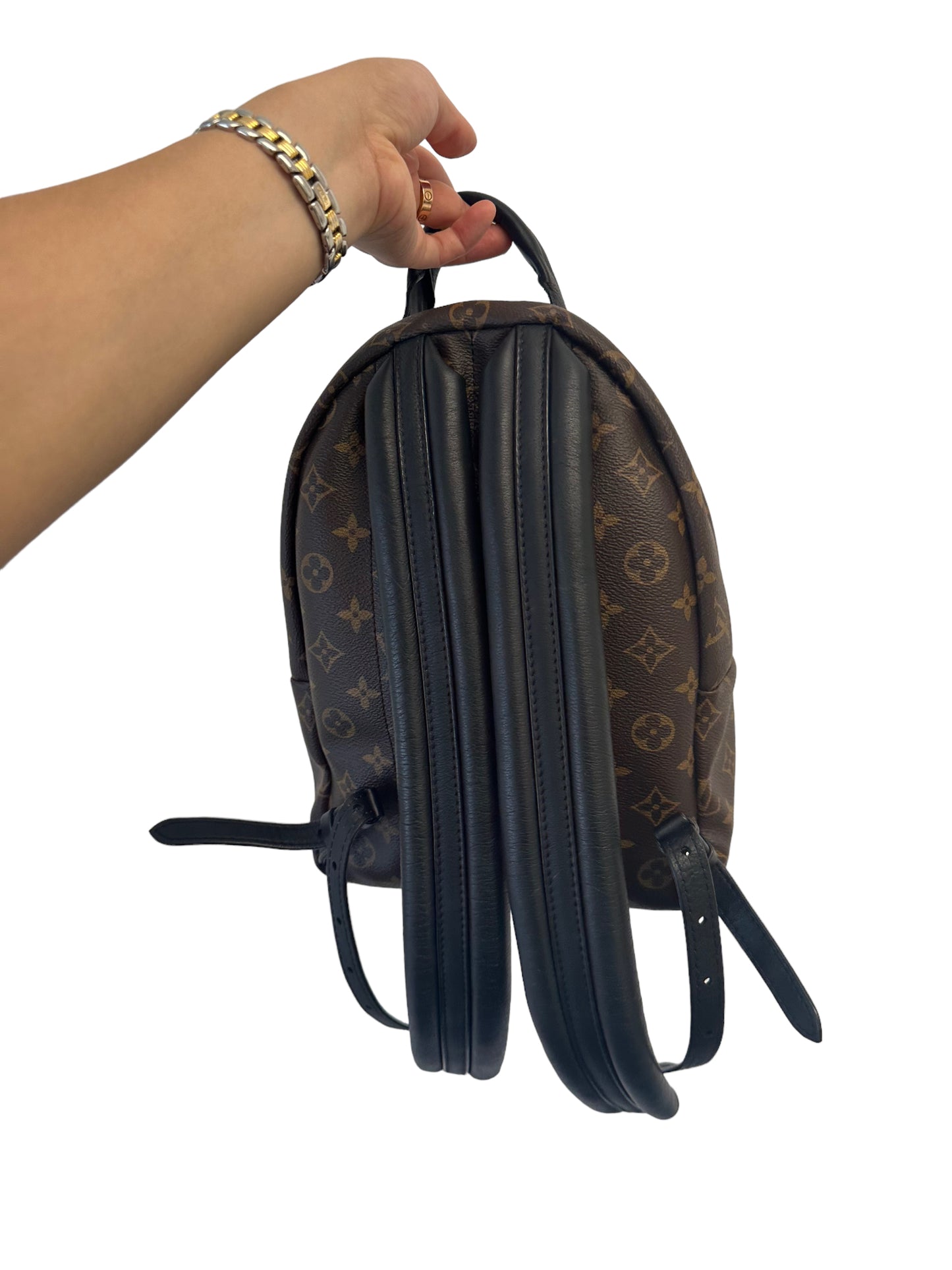 LOUIS VUITTON - Monogram Canvas Palm Springs PM