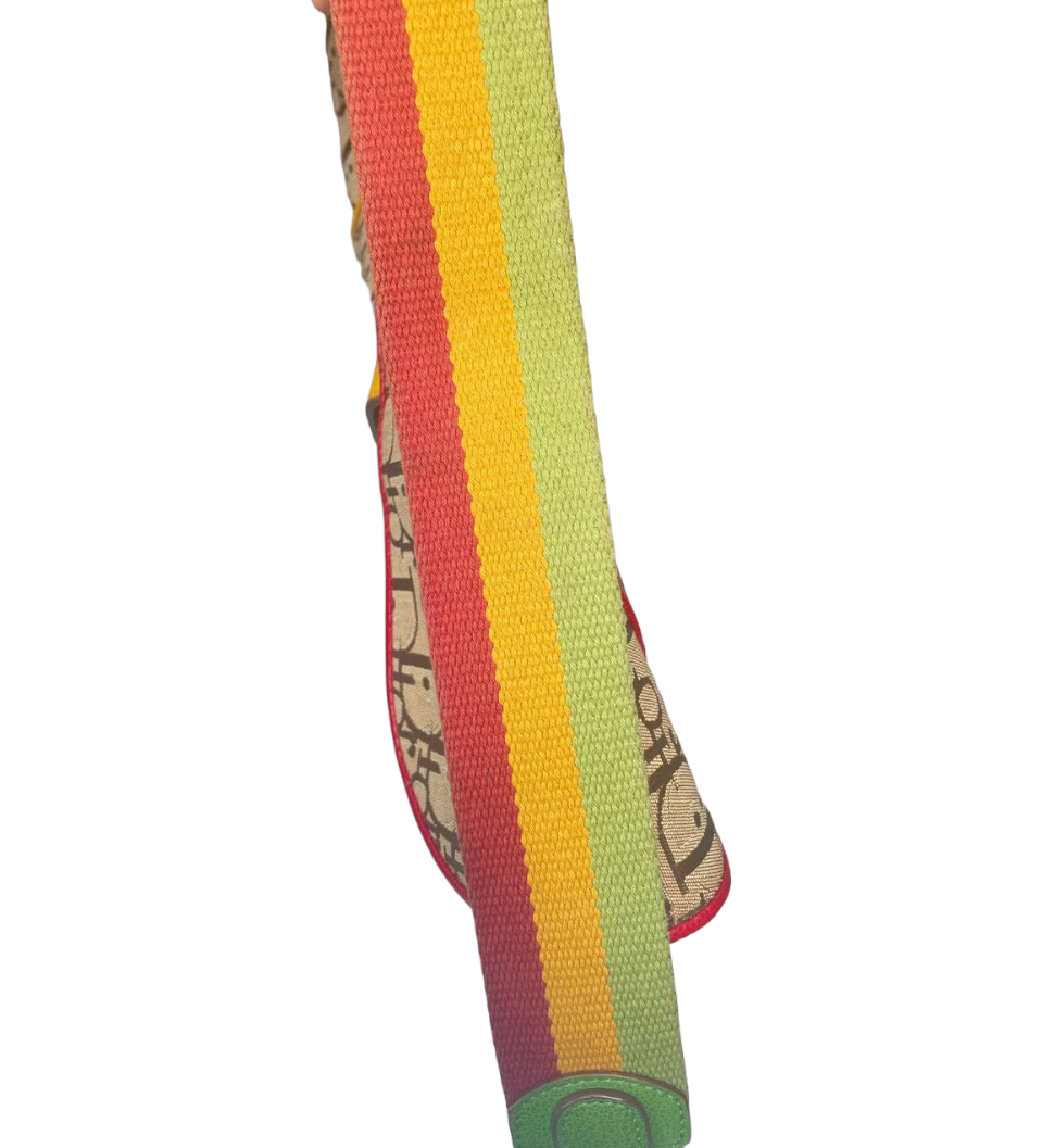 DIOR - Vintage Rasta Saddle Bag Canvas