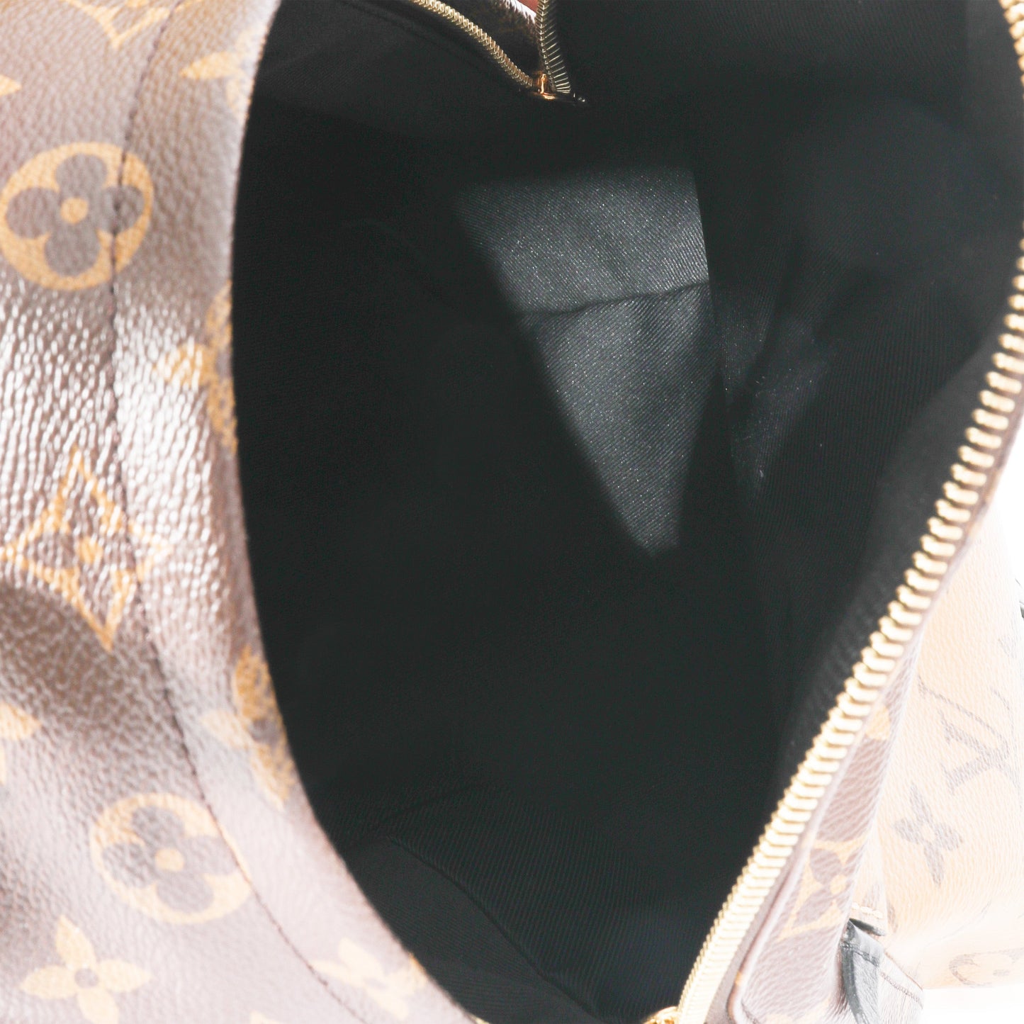LOUIS VUITTON - Canvas Reverse Monogram Palm Spring PM