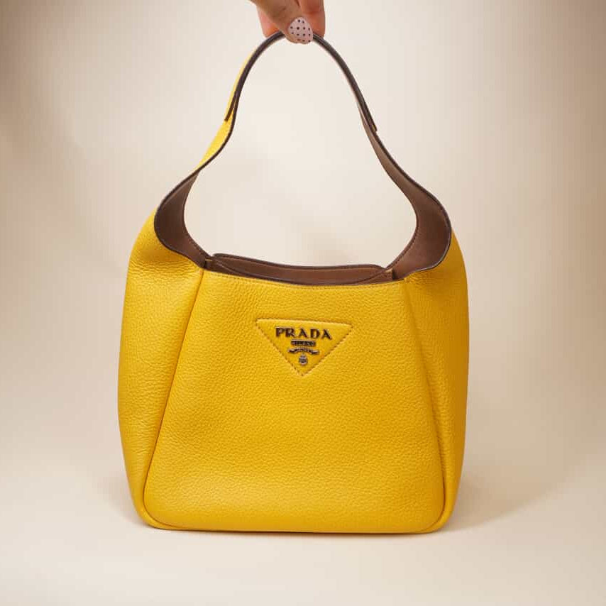 PRE-OWNED Dynamique Vitello Daino Small hobo bag