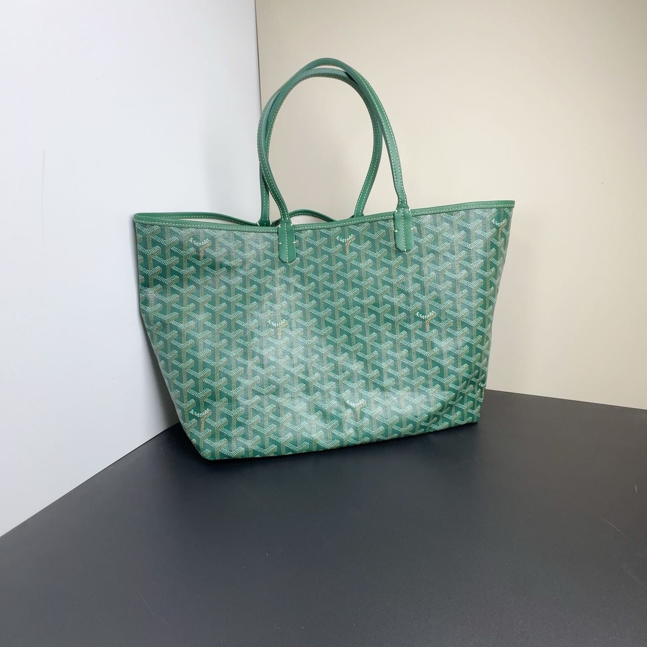 PRE-OWNED Goyardine Green Canvas (PART 1)