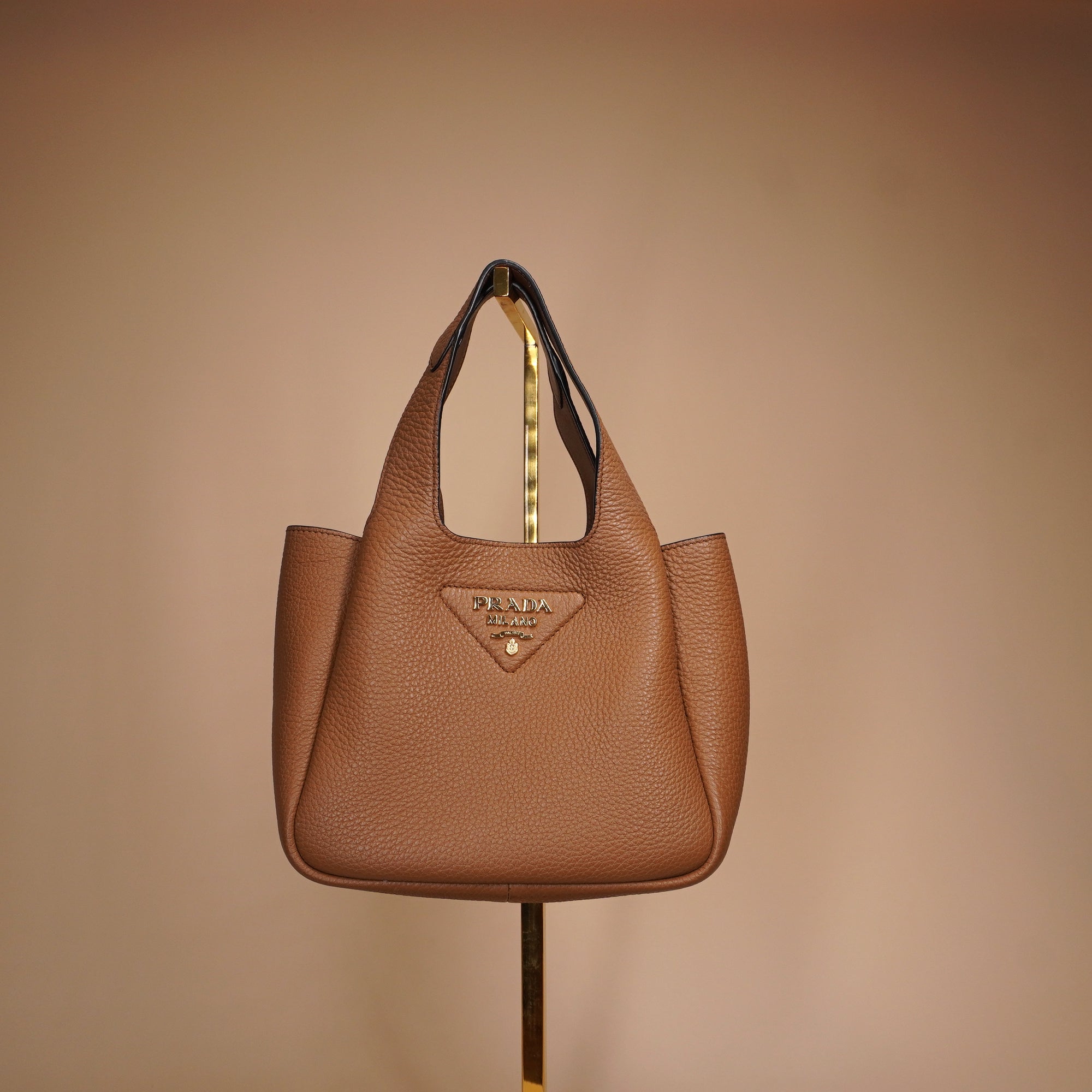 PRE-OWNED Brown Vitello Daino Soft Leather Mini Dynamique Tote Bag