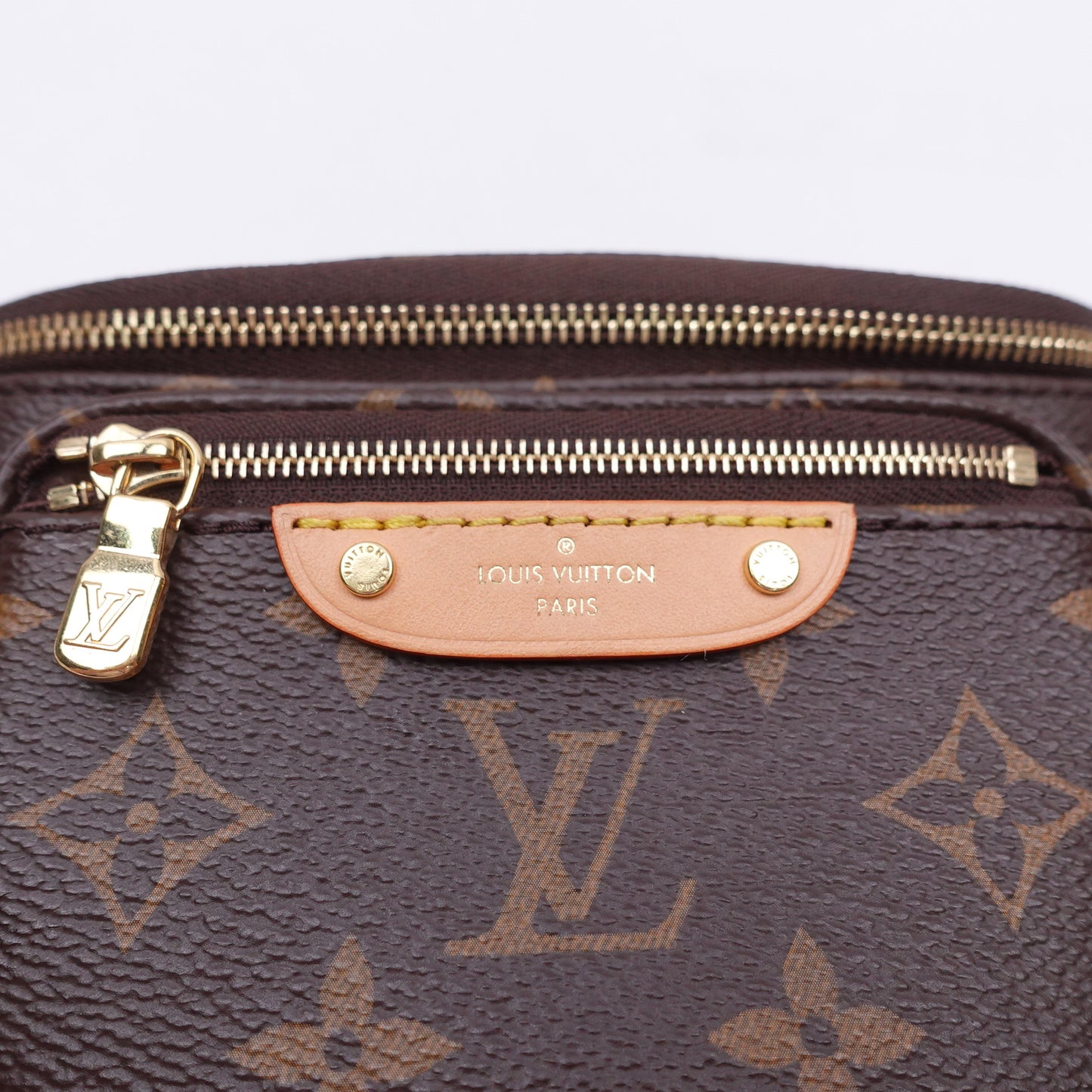 PRE-OWNED LV Monogram Canvas Mini Bumbag Crossbody Bag