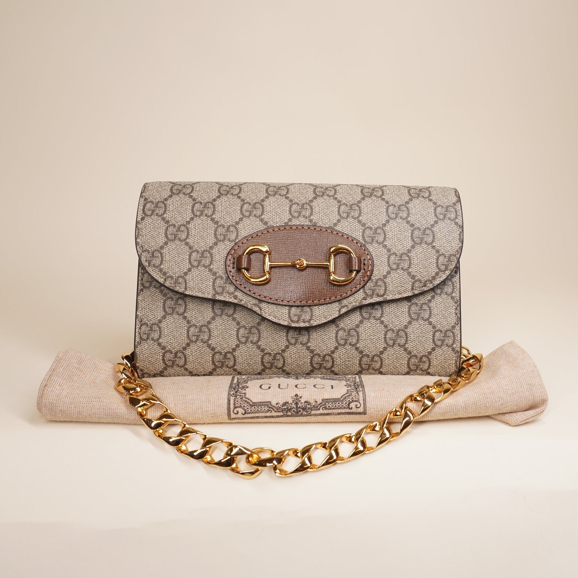 PRE-OWNED GG Supreme Chain Shoulder Bag