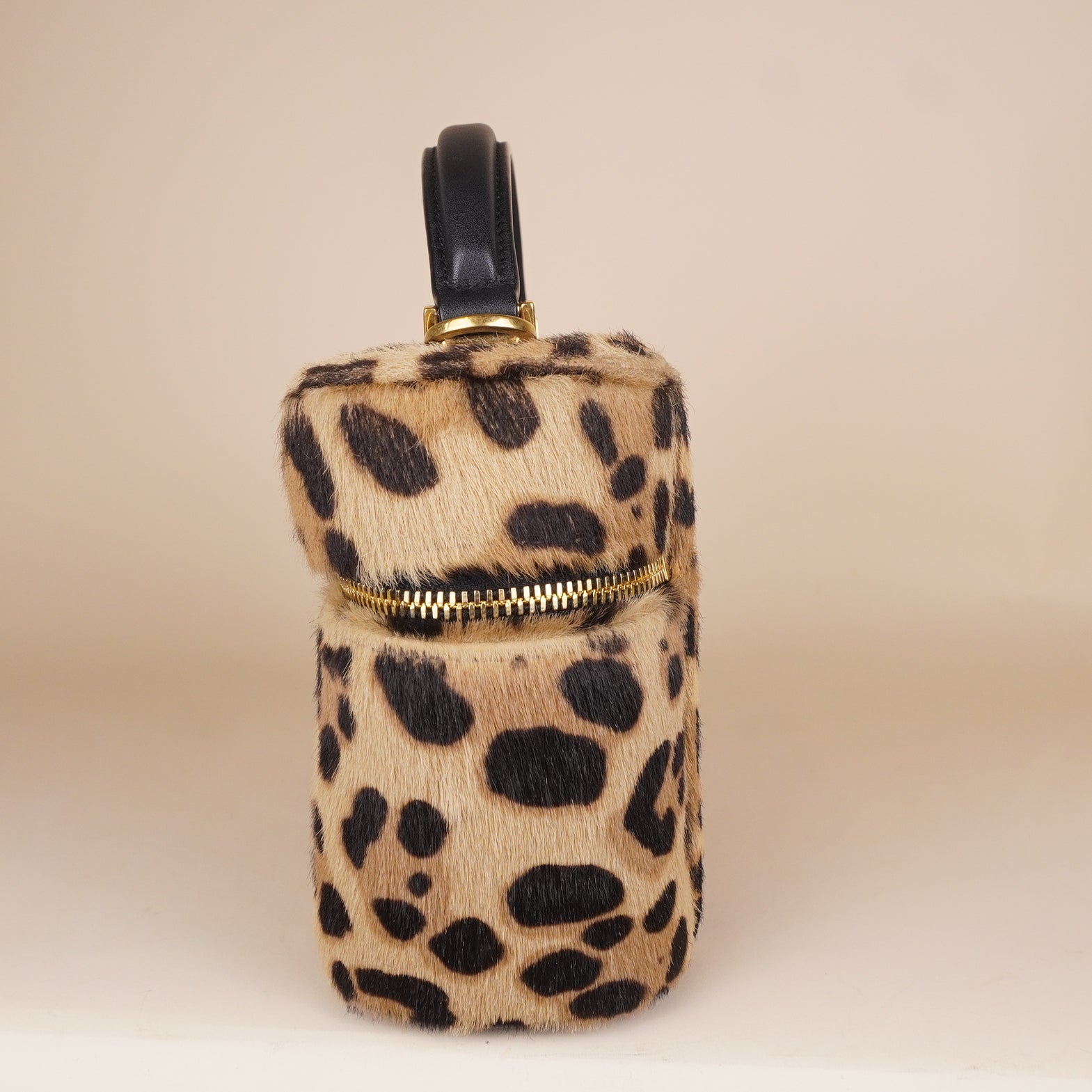 PRE-OWNED Pony Hair Leopard Print Mini Gaby Vanity Case Brown Black