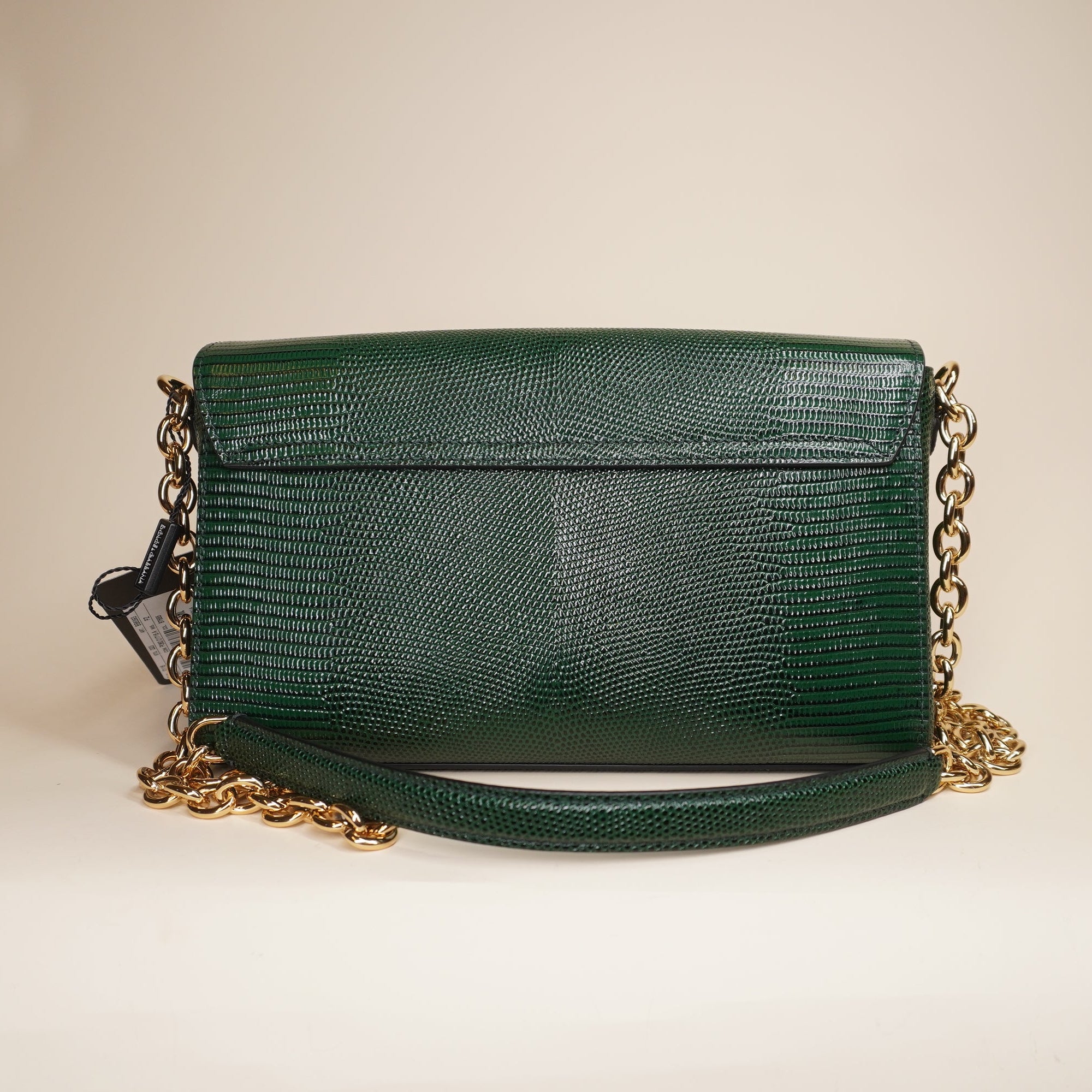 PRE-OWNED Green Iguana Millennials Shoulder Bag