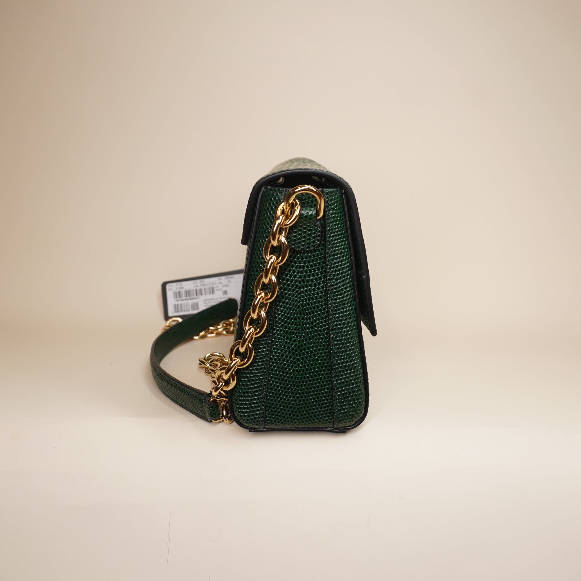 PRE-OWNED Green Iguana Millennials Shoulder Bag