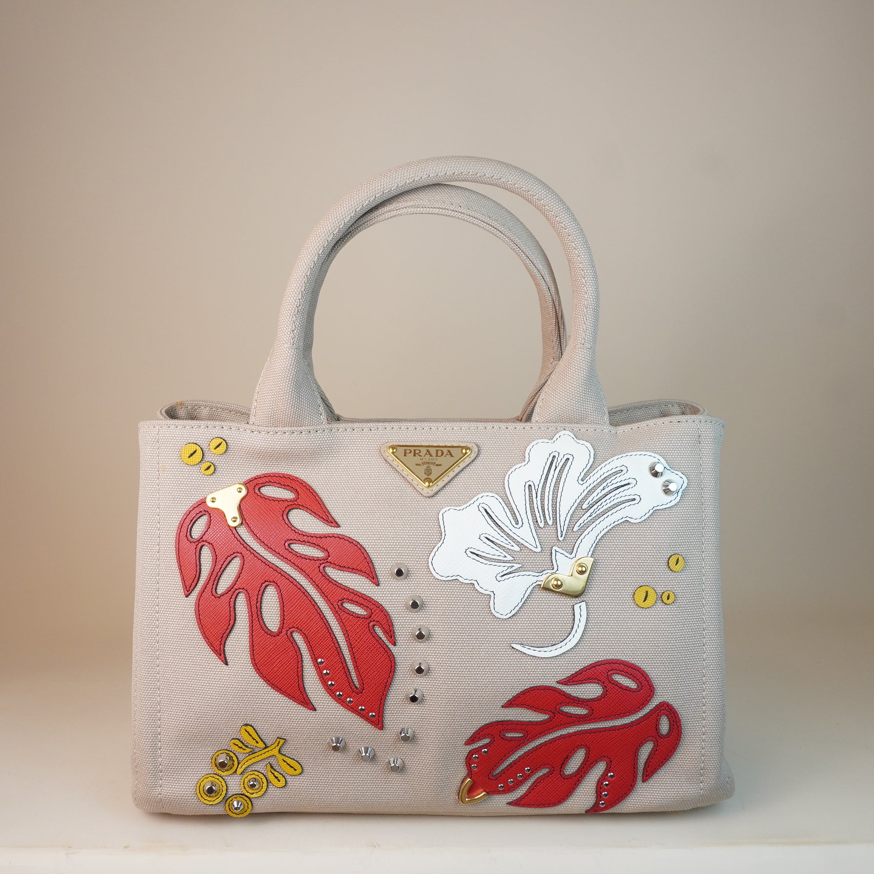PRE-OWNED Canapa Mini Hawaii Limited Edition Handbag