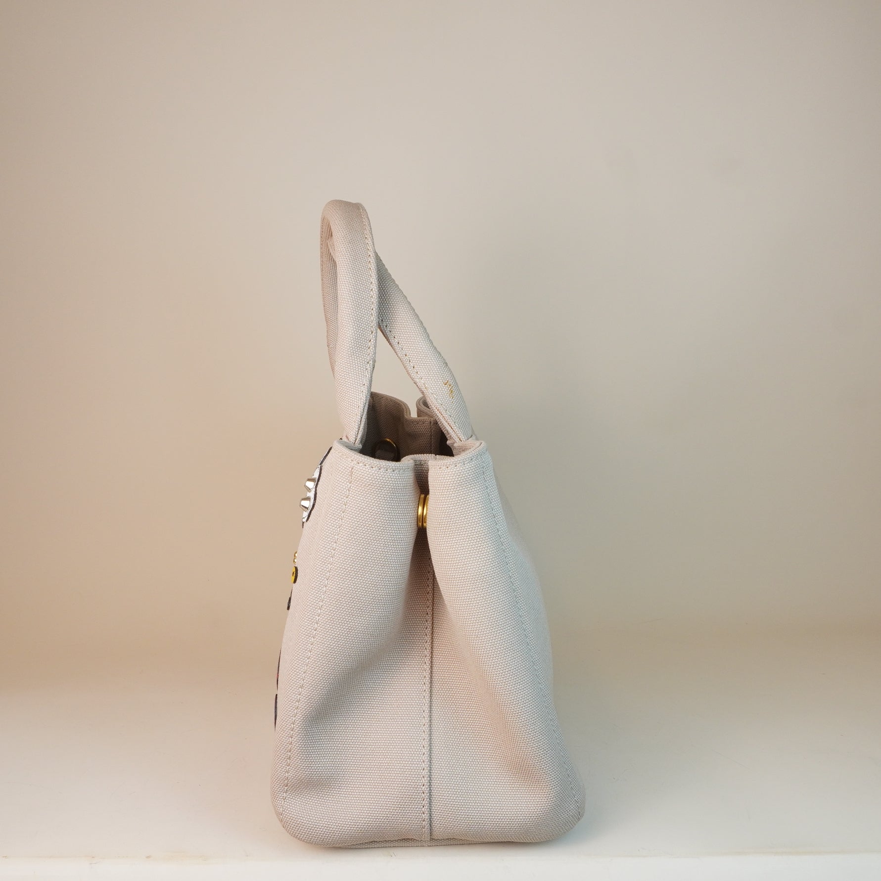 PRE-OWNED Canapa Mini Hawaii Limited Edition Handbag