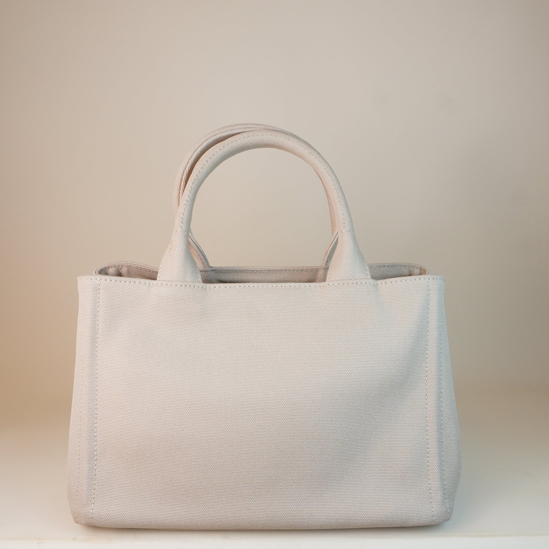 PRE-OWNED Canapa Mini Hawaii Limited Edition Handbag