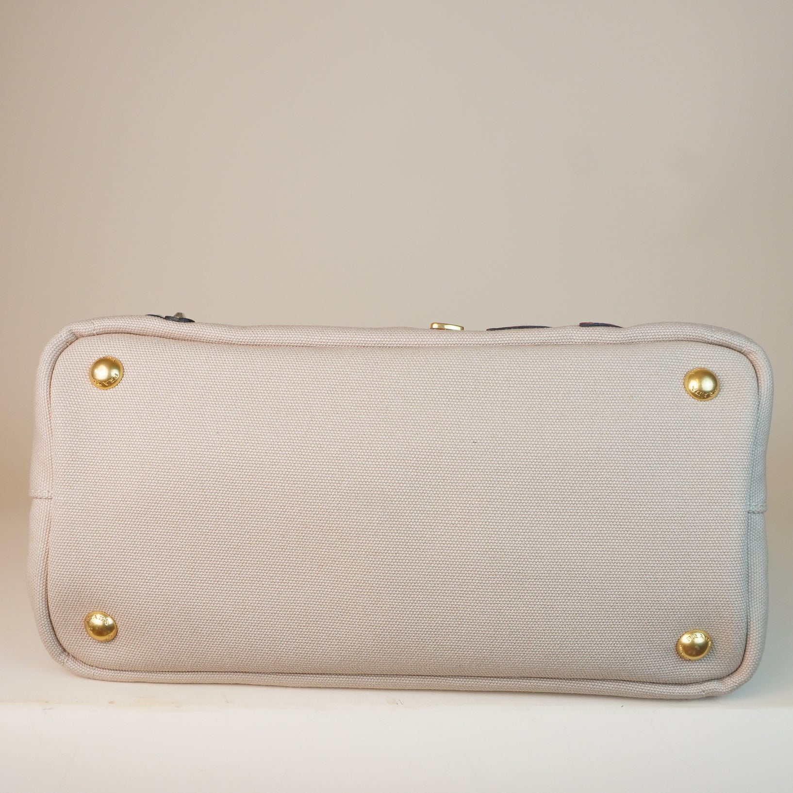 PRE-OWNED Canapa Mini Hawaii Limited Edition Handbag