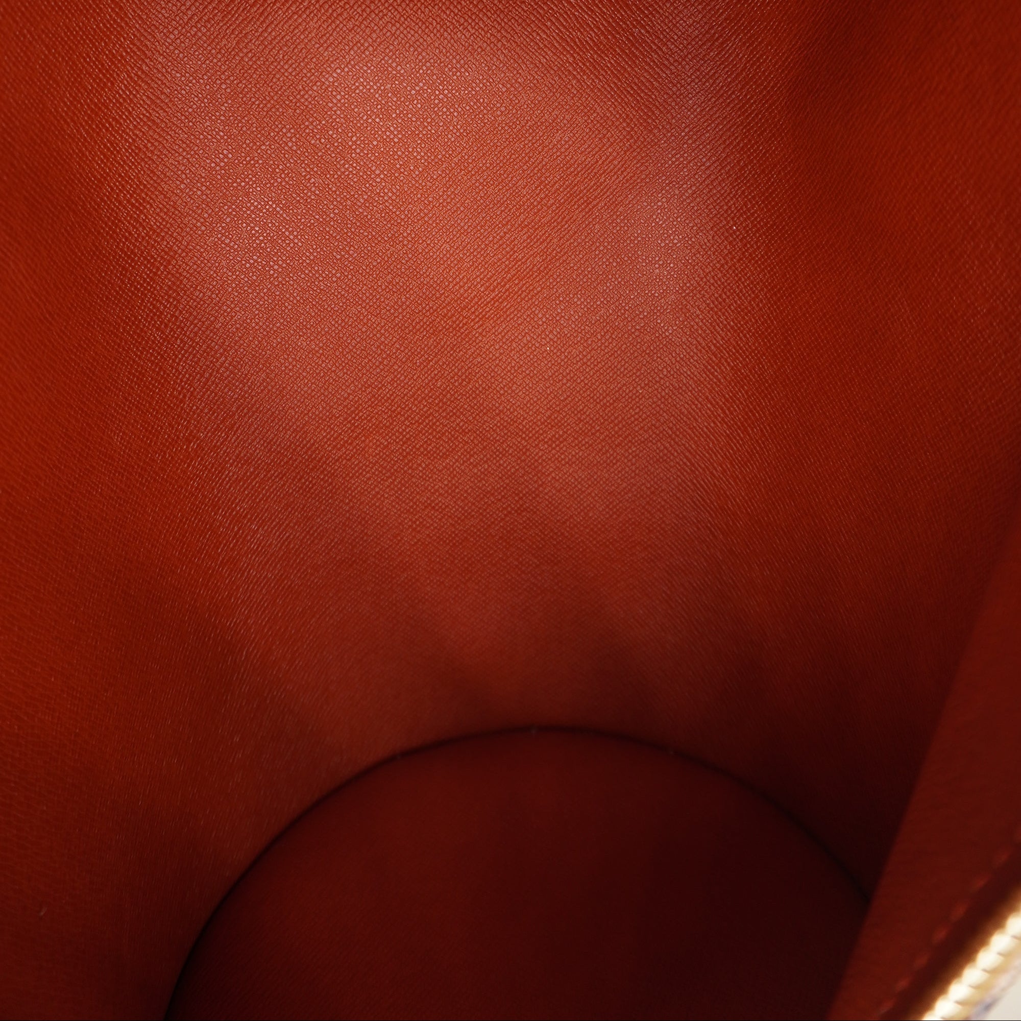 PRE-OWNED LV Damier Ebene Papillon 30 Shoulder Bag