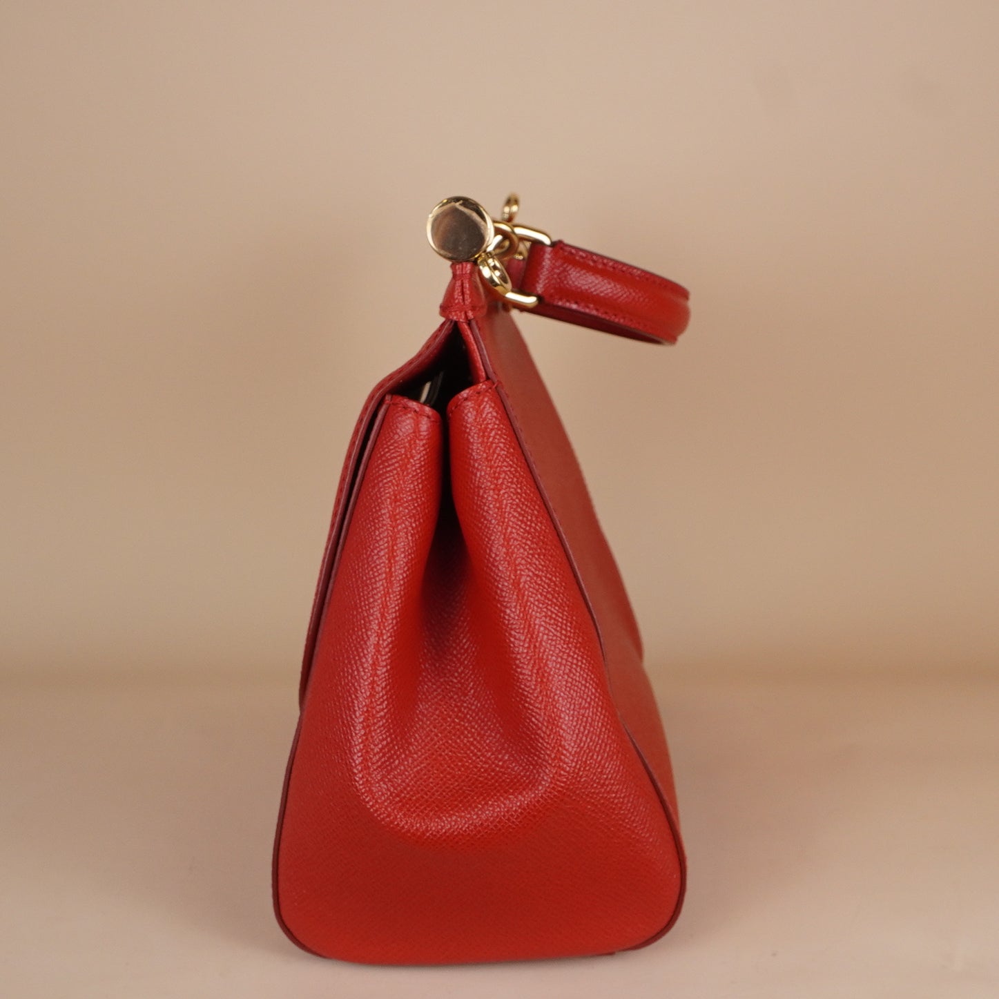 PRE-OWNED Medium Cecily Practical Bag