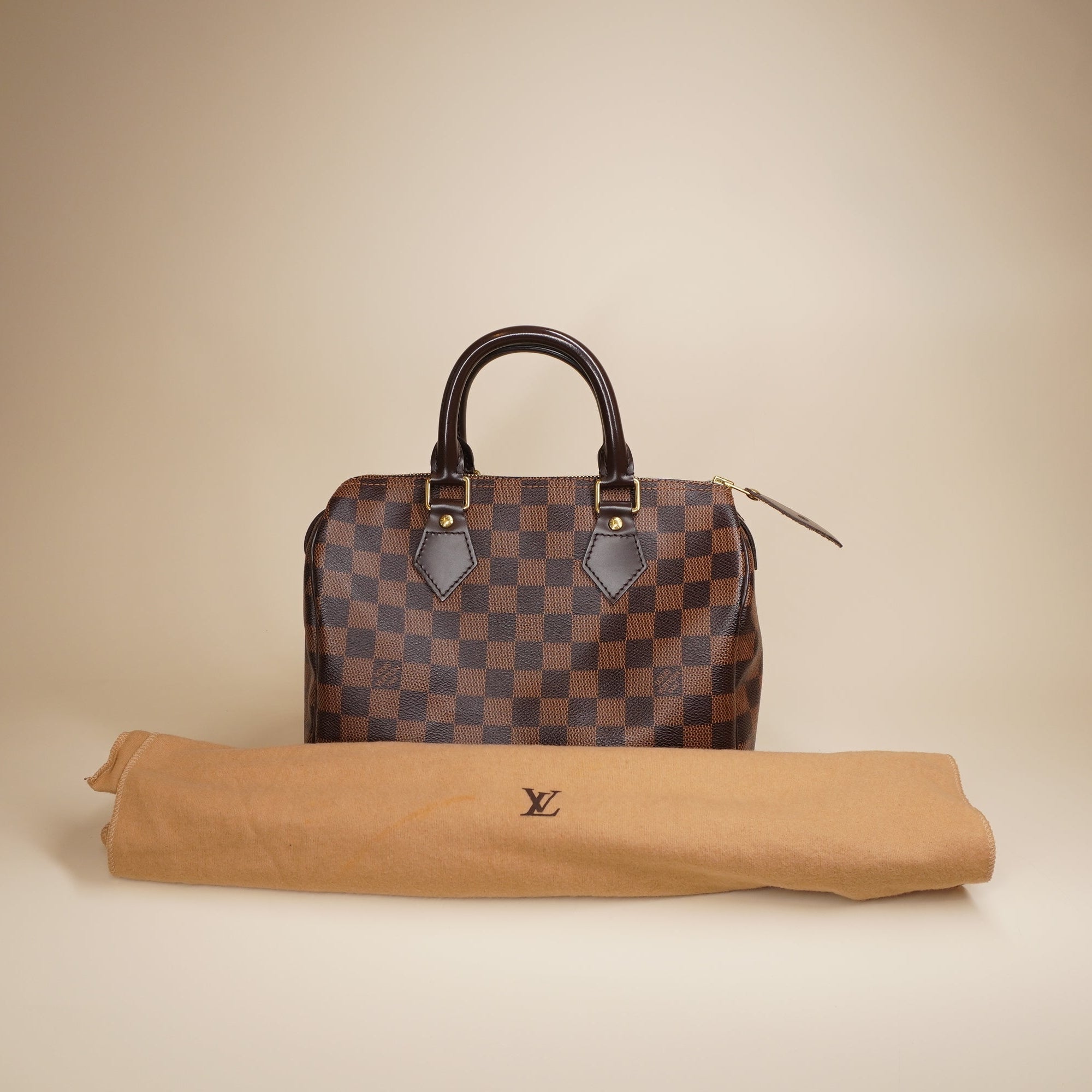 LV Damier Ebene Canvas Speedy 25 Top Handle Bag 