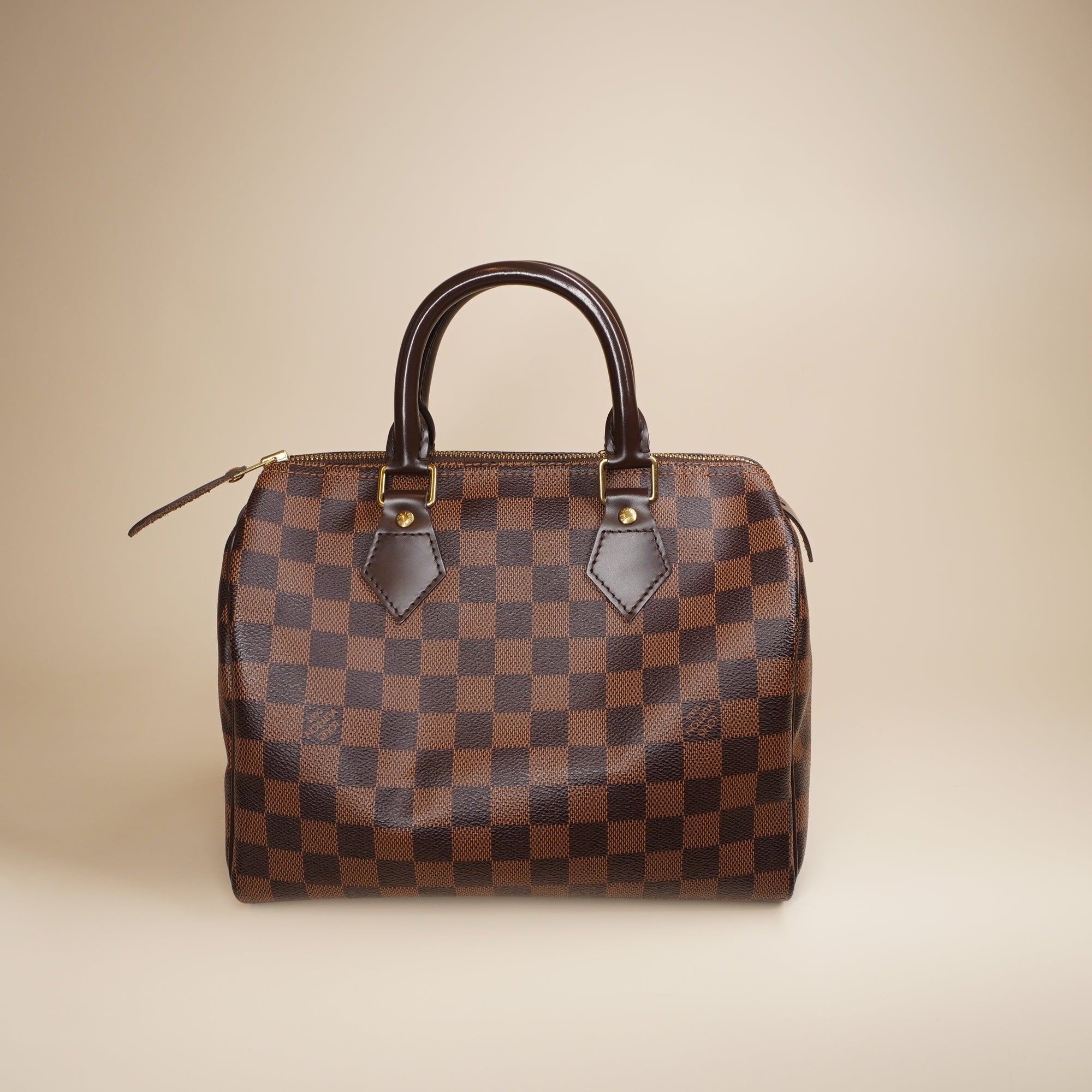 LV Damier Ebene Canvas Speedy 25 Top Handle Bag 
