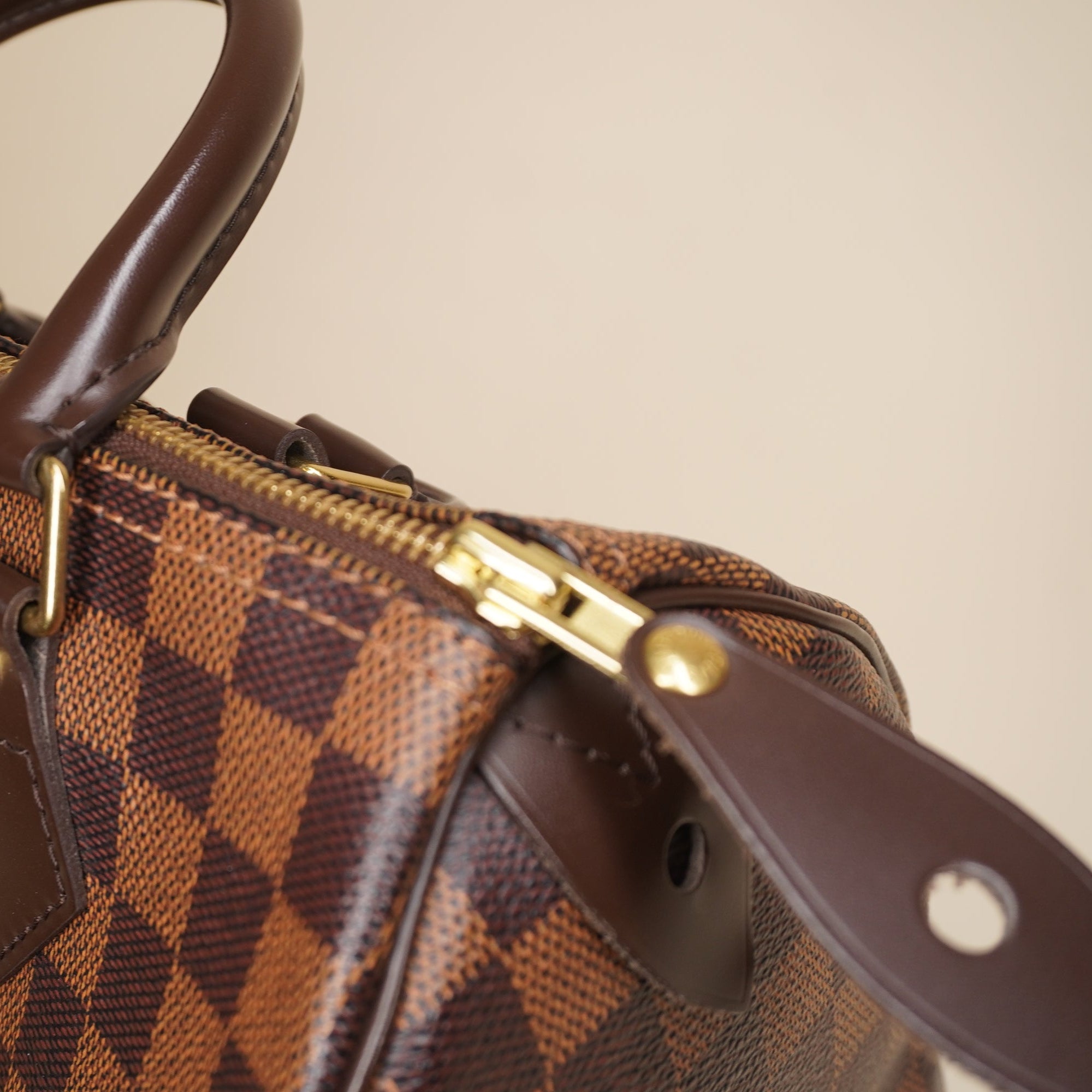 LV Damier Ebene Canvas Speedy 25 Top Handle Bag 
