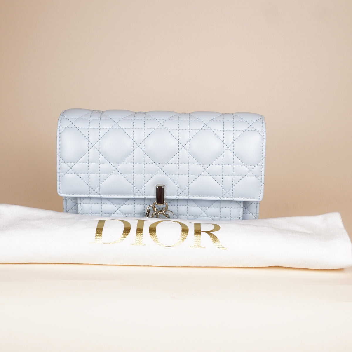 PRE-OWNED CD Cannage My Dior Daily Pouch with Chain