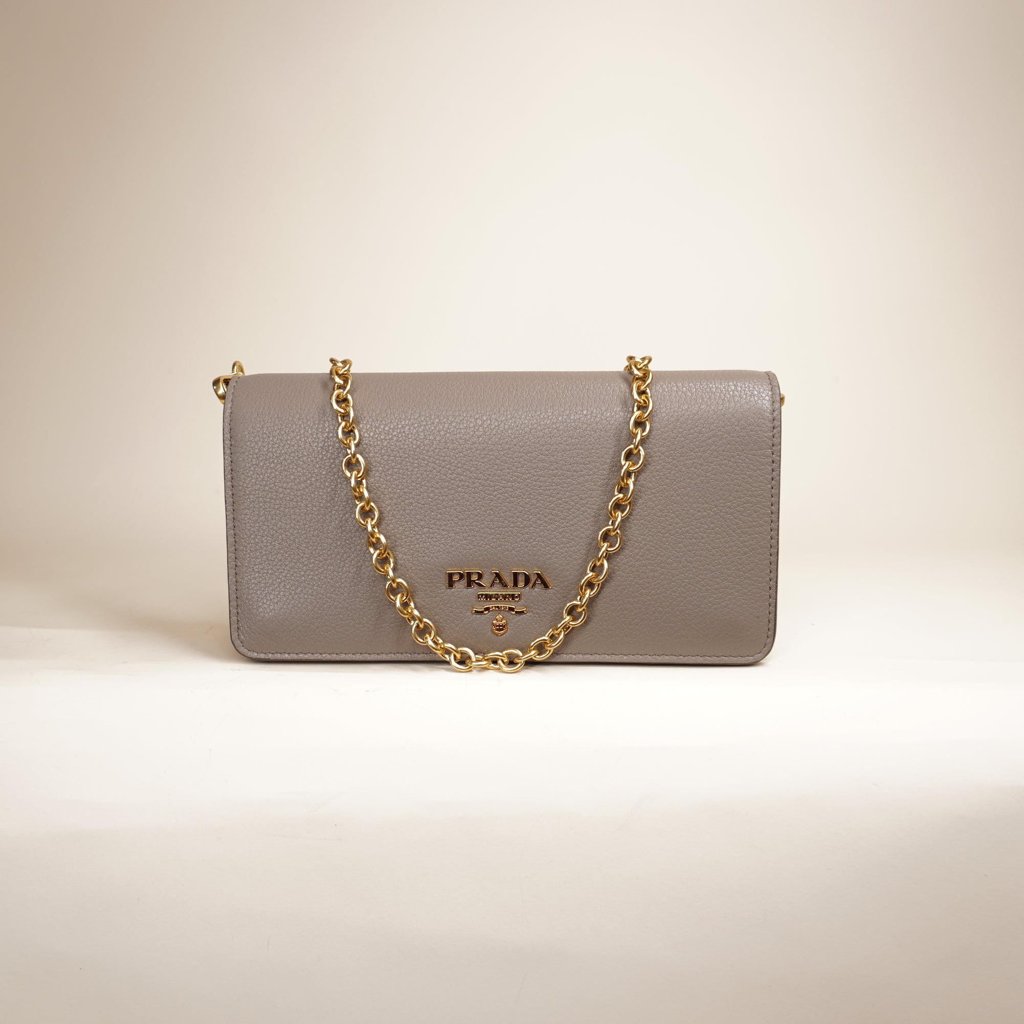 PRE-OWNED Grey Vitello Wallet on a Chain Crossbody Bag