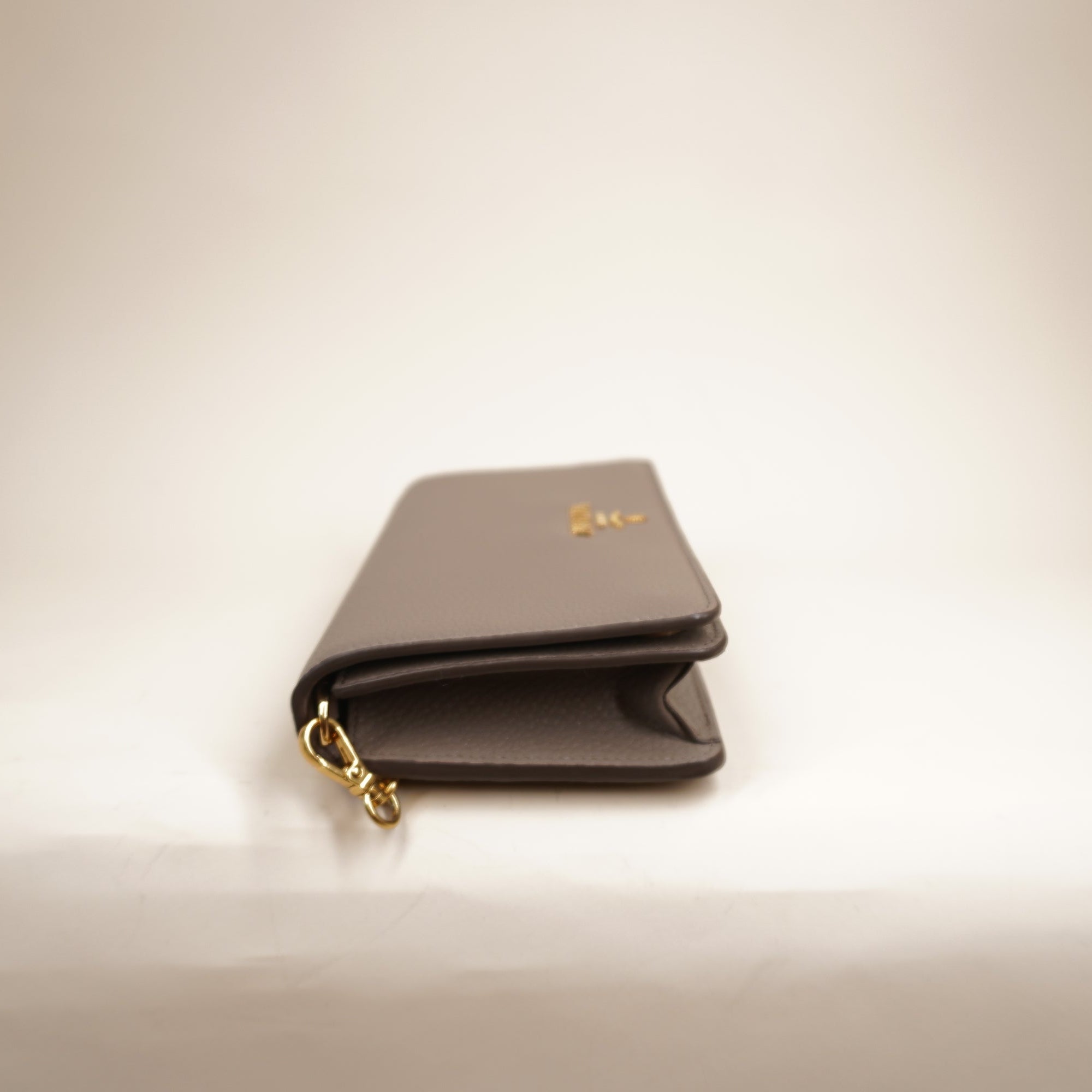 PRE-OWNED Grey Vitello Wallet on a Chain Crossbody Bag