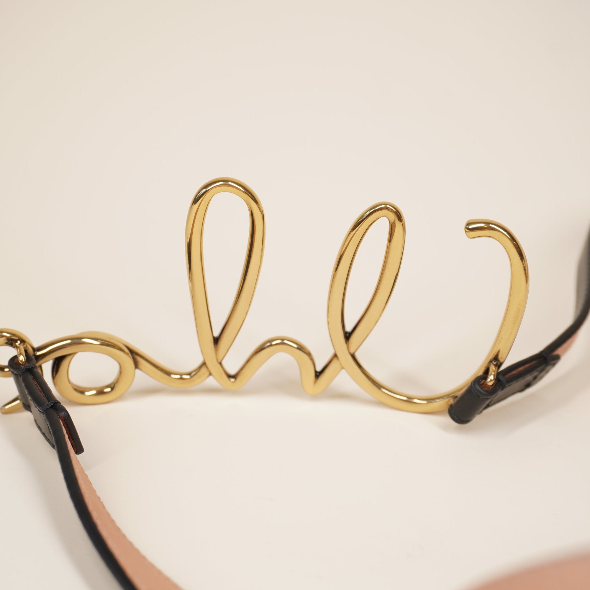 PRE-OWNED The Chloé Iconic Belt size L