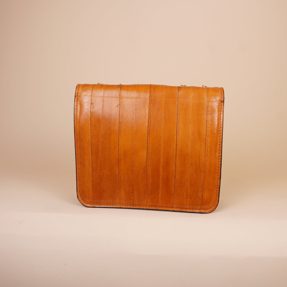 PRE-OWNED FF Fab Logo Shoulder Bag In Brown
