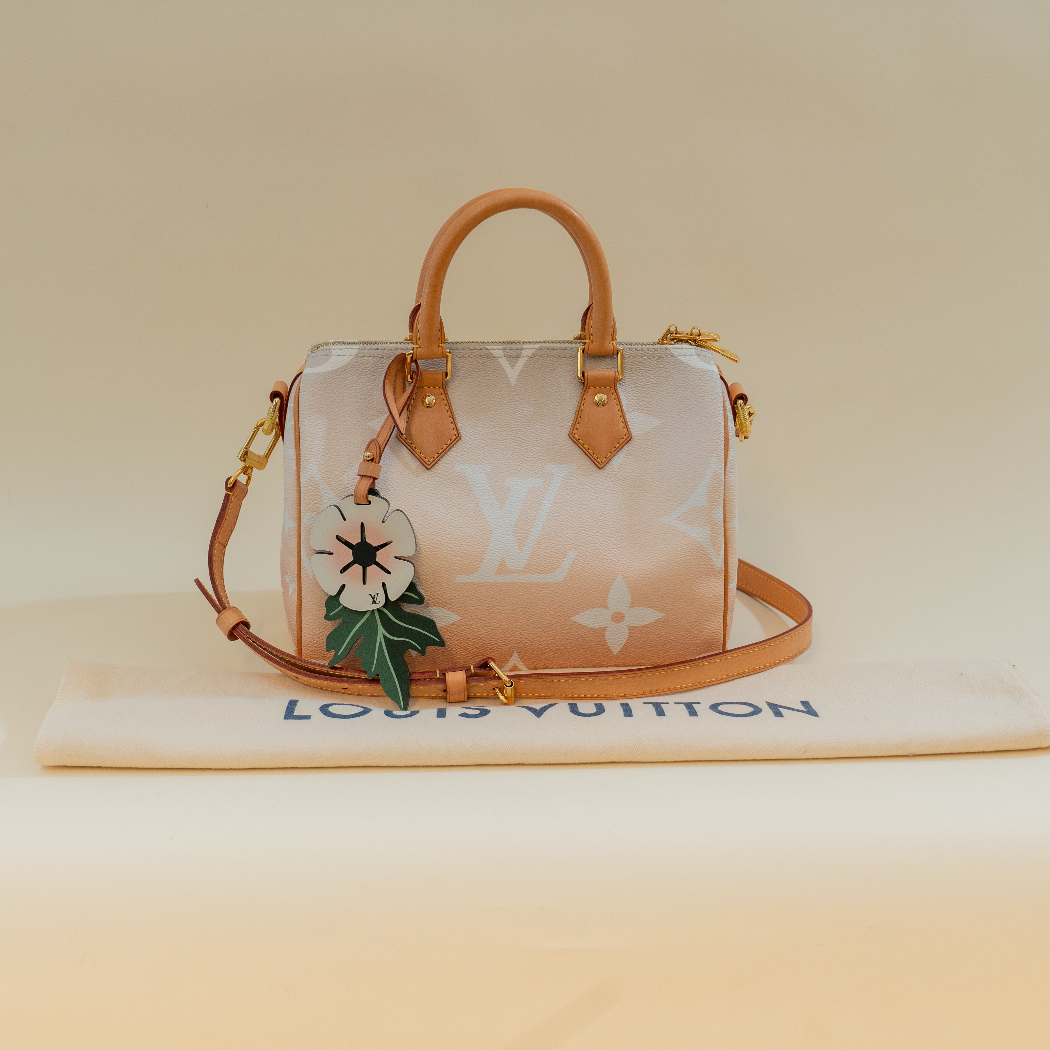 PRE-OWNED LV Monogram Giant By The Pool Speedy Bandouliere 25