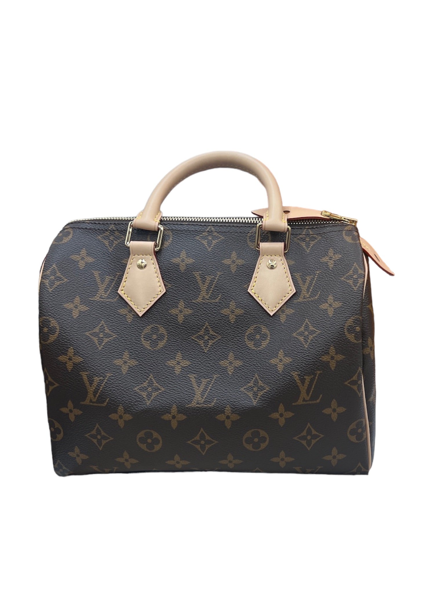 LOUIS VUITTON - Bolso de mano Speedy 25 Monogram