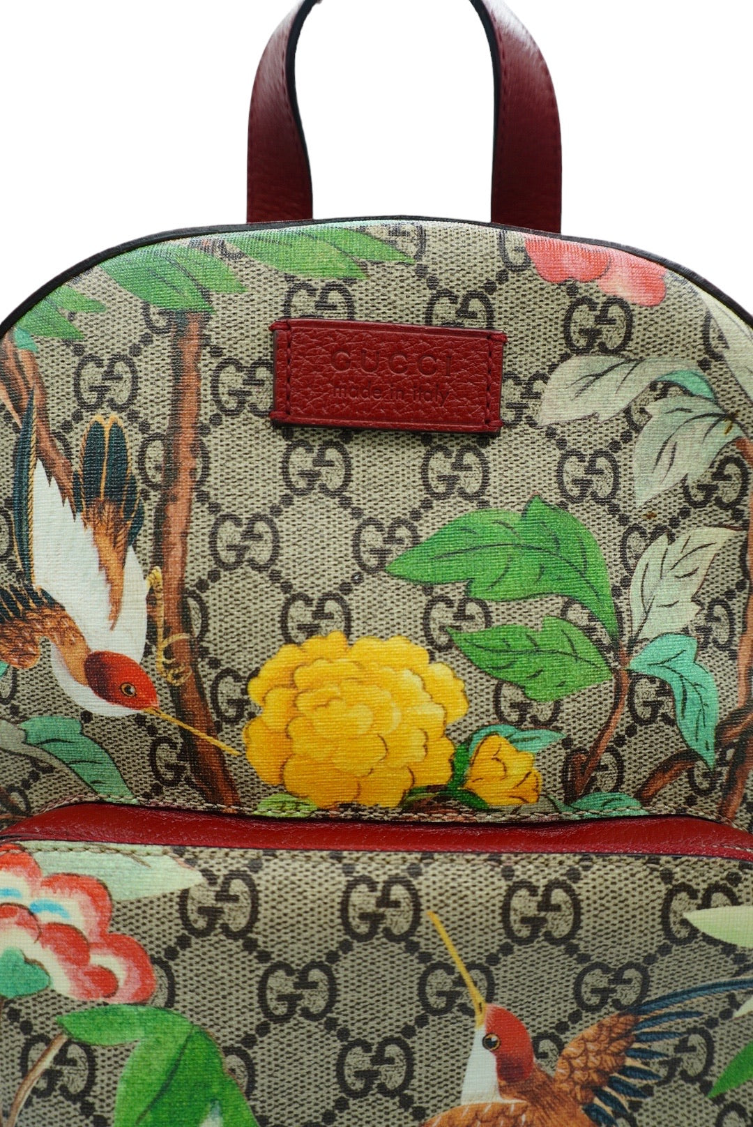 GUCCI - Zip Pocket Backpack Tian Print GG Coated Canvas Small