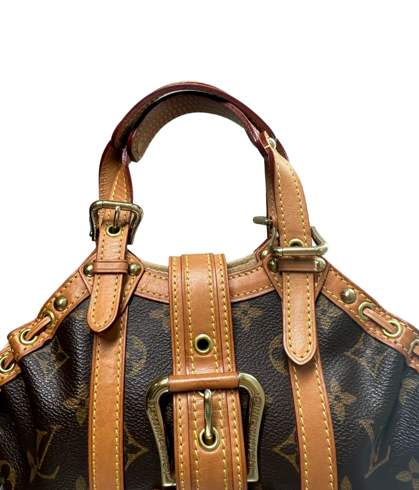 LOUIS VUITTON - Theda Handbag Monogram PM