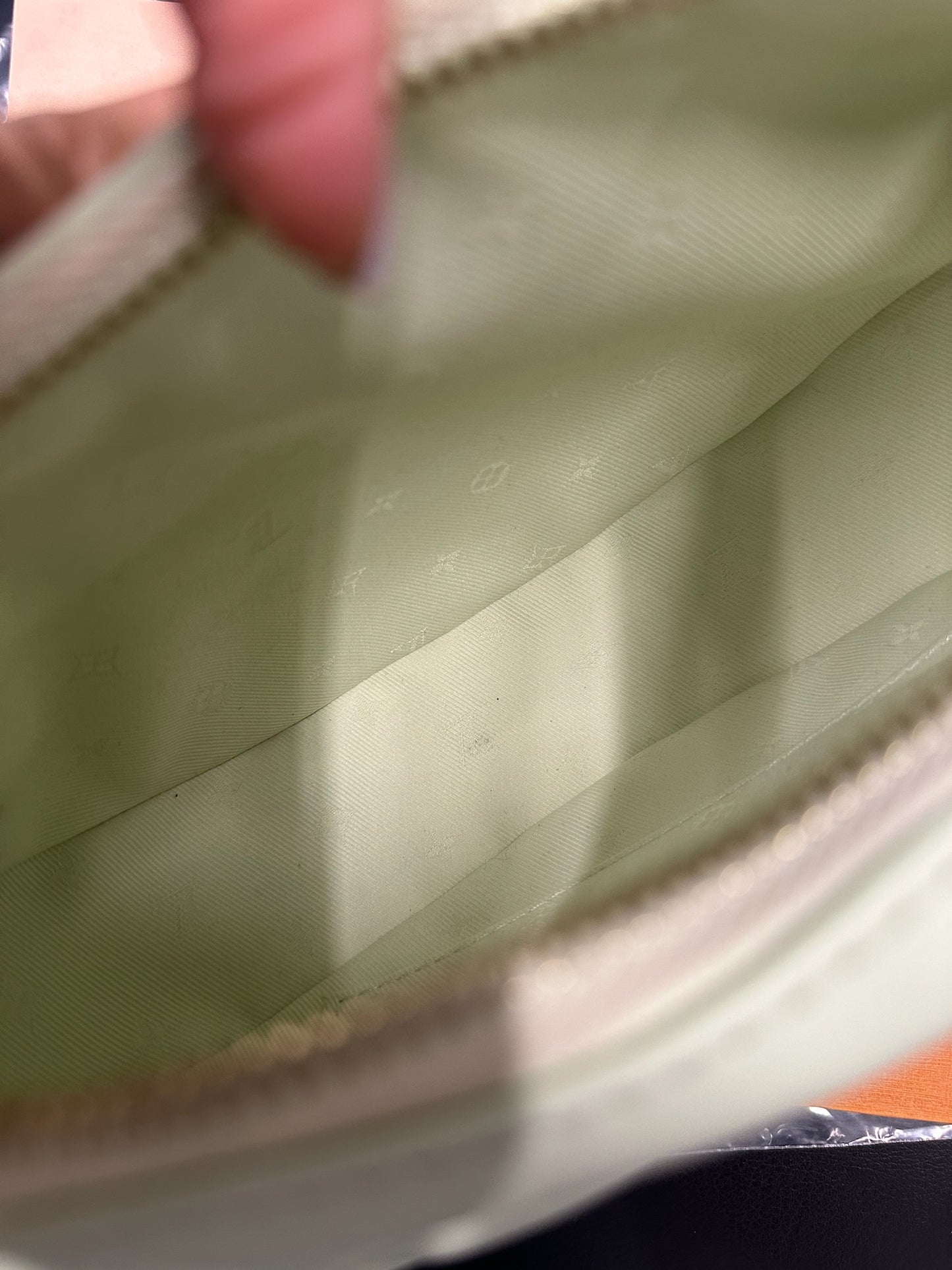 LOUIS VUITTON - Light Green Calfskin Bubblegram Over The Moon