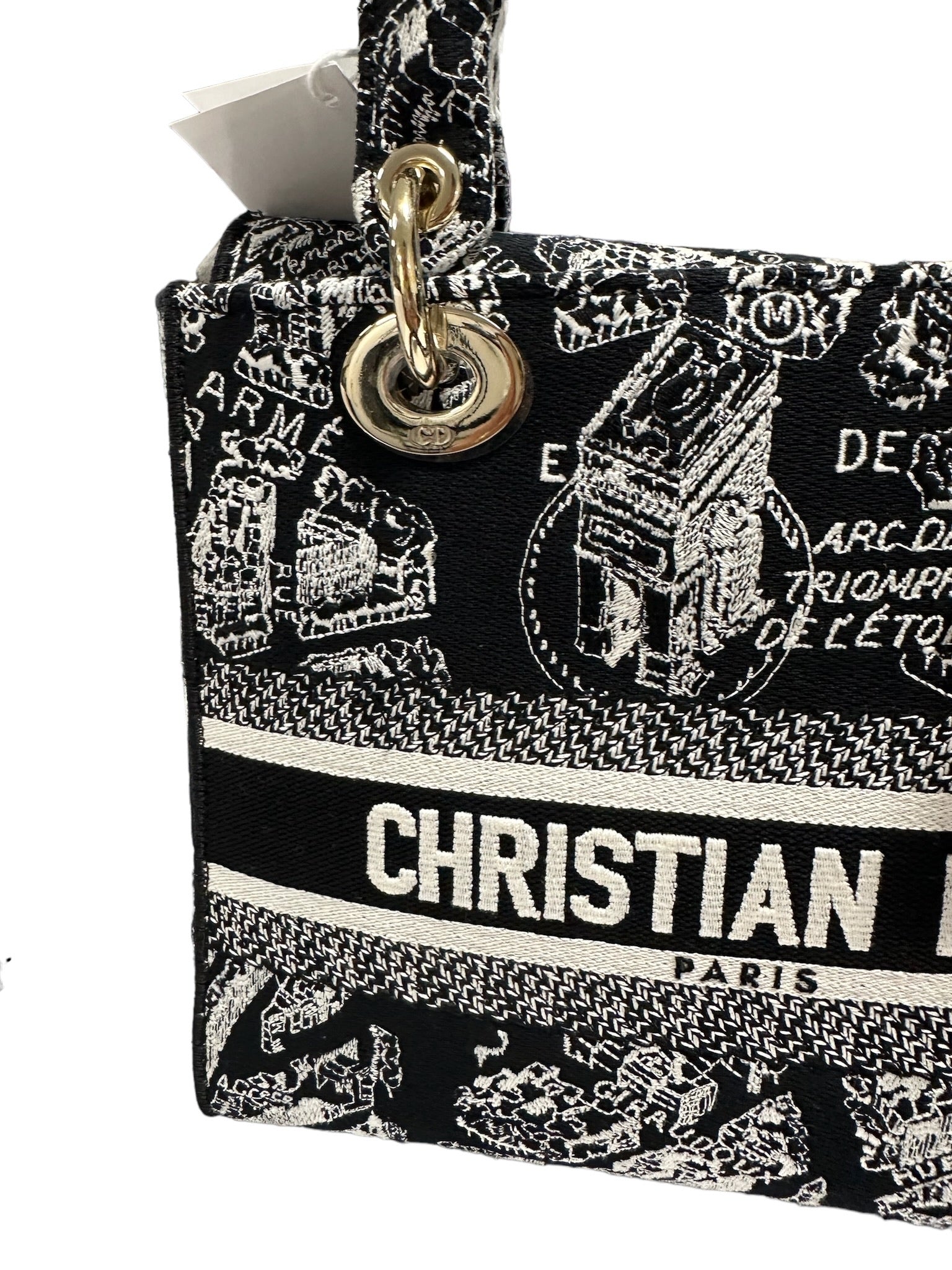 CHRISTIAN DIOR - Plan De Paris Lady D Lite mediano de lona bordada en blanco y negro