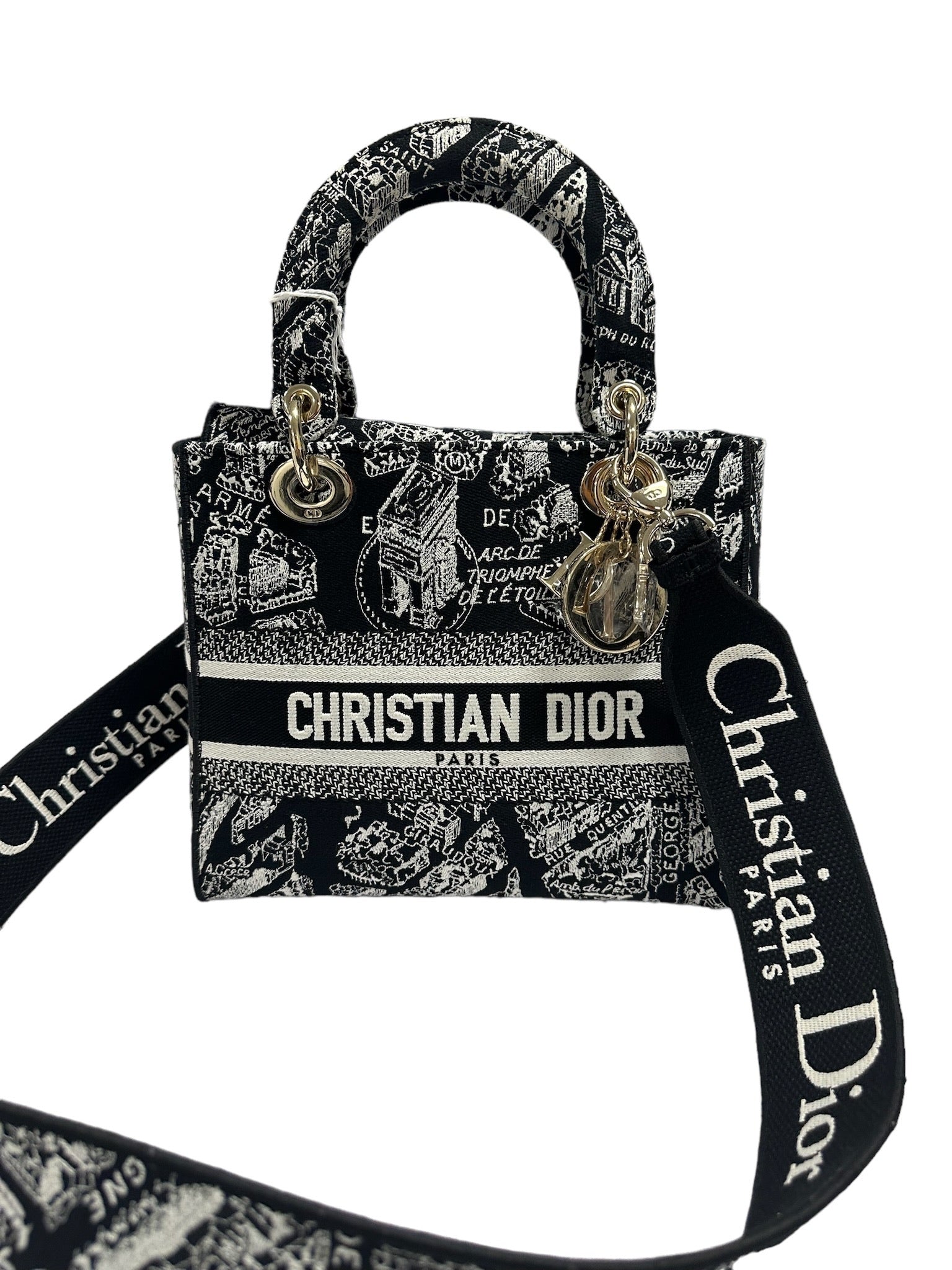 CHRISTIAN DIOR - Plan De Paris Lady D Lite mediano de lona bordada en blanco y negro