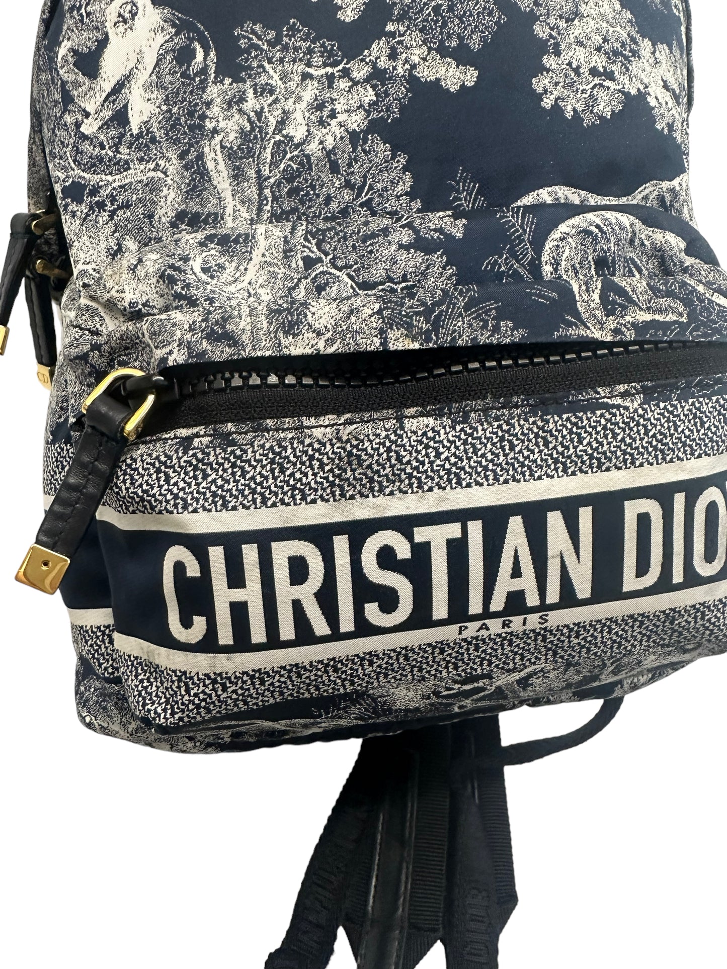 Christian Dior Blue Toile De Jouy FabricBackpack